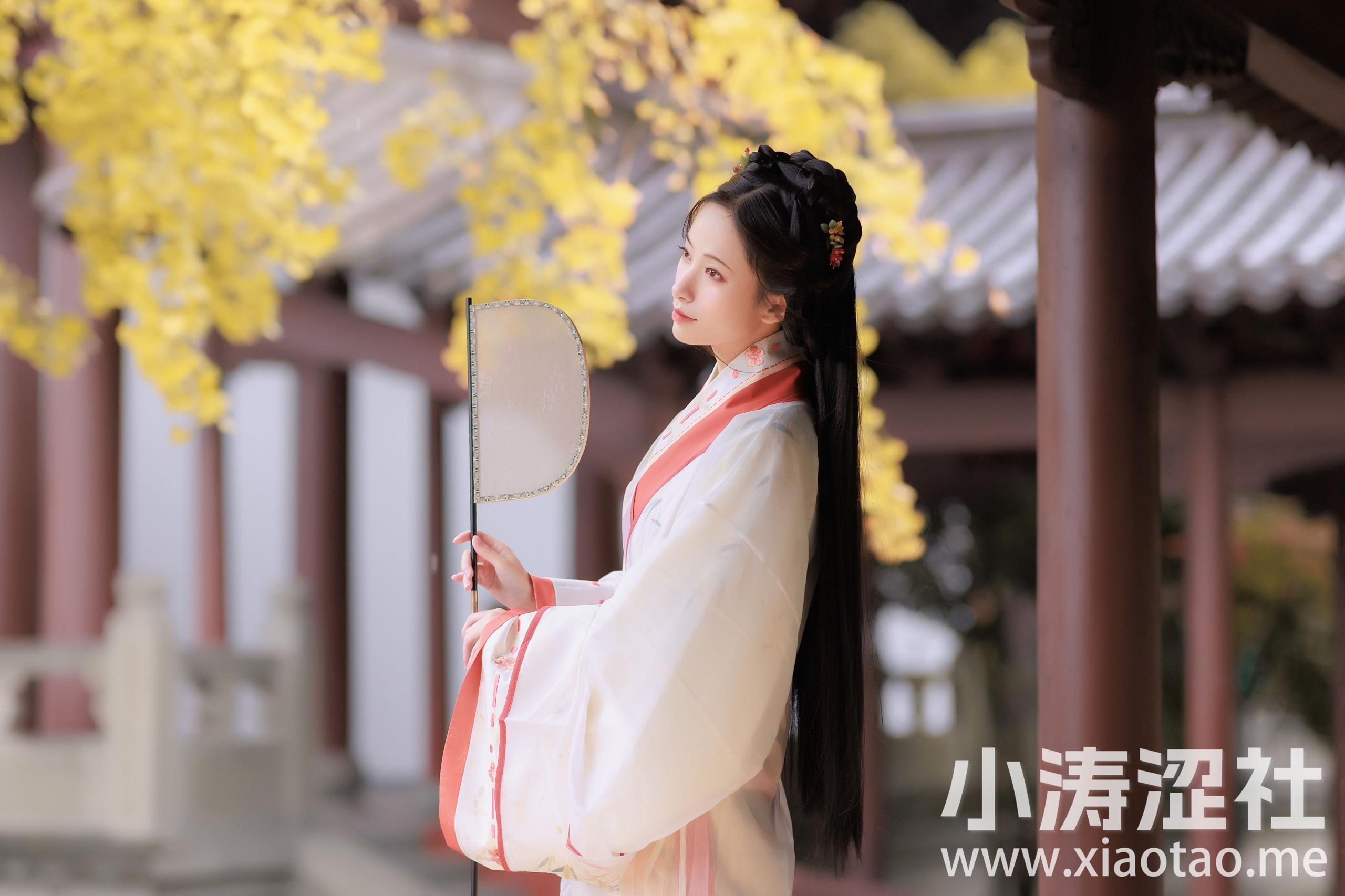 雨中银杏 唯美 伤感 意境 古风 银杏树