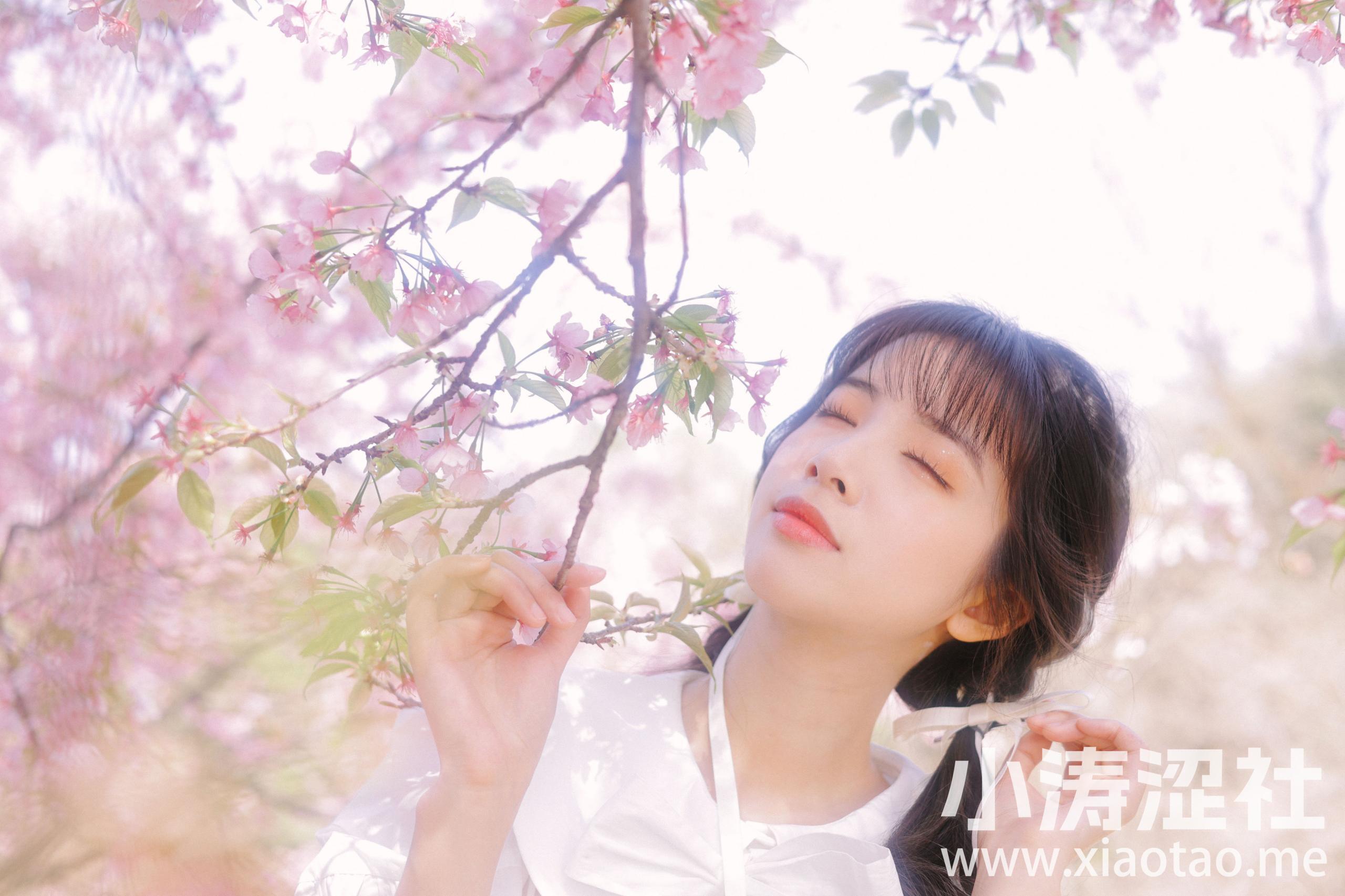 粉樱 樱花 模特 妹子 美图 清纯 小清新