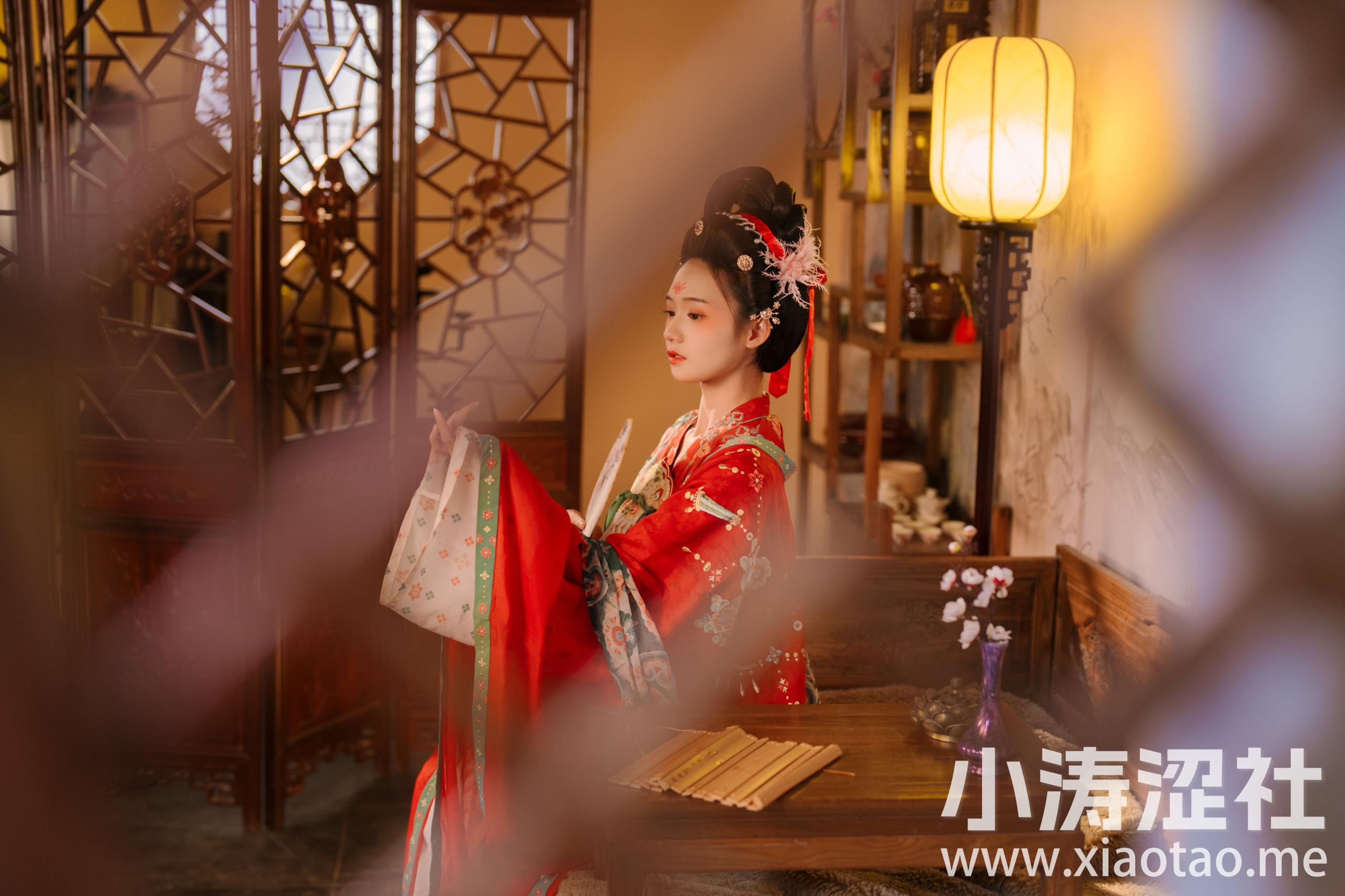 不负梦华 古风 少女 中国风 艺术 优美 优雅 高雅